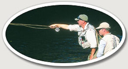 Trout from small rivers Trout from small rivers