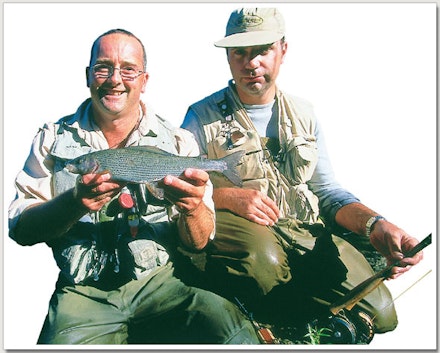 Trout from small rivers Trout from small rivers