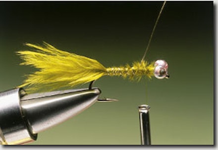 Damsel Nymph Stillwater Fly Damsel Nymph Stillwater Fly
