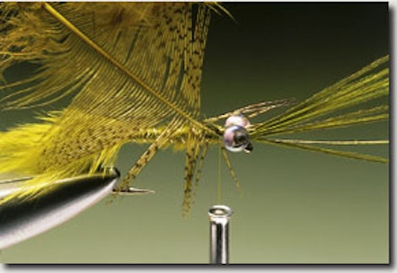Damsel Nymph Stillwater Fly Damsel Nymph Stillwater Fly