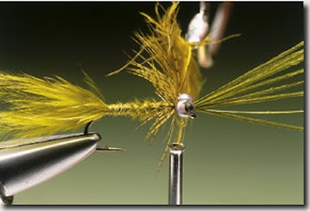 Damsel Nymph Stillwater Fly Damsel Nymph Stillwater Fly