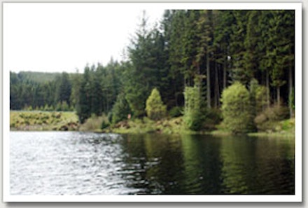 Kielder Water Kielder Water
