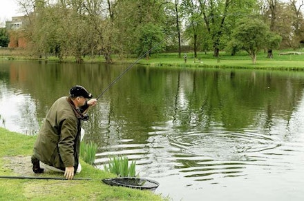 Syon Park Syon Park