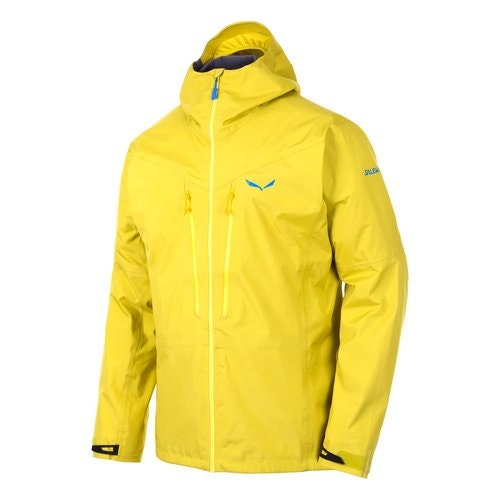 SALEWA PEDROC GTX