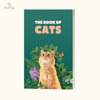 The Book of Cats