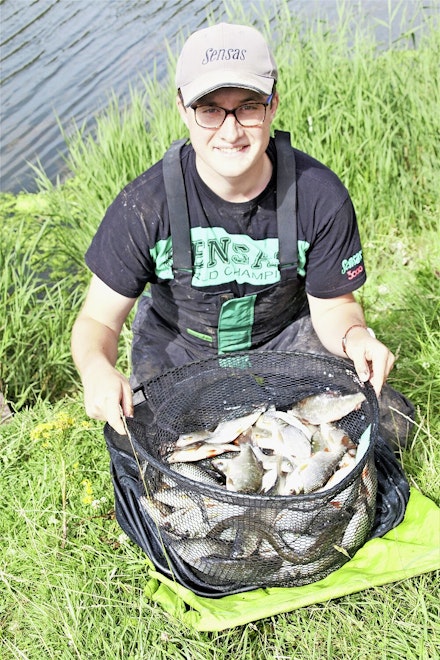 A cracking net of natural water silvers A cracking net of natural water silvers