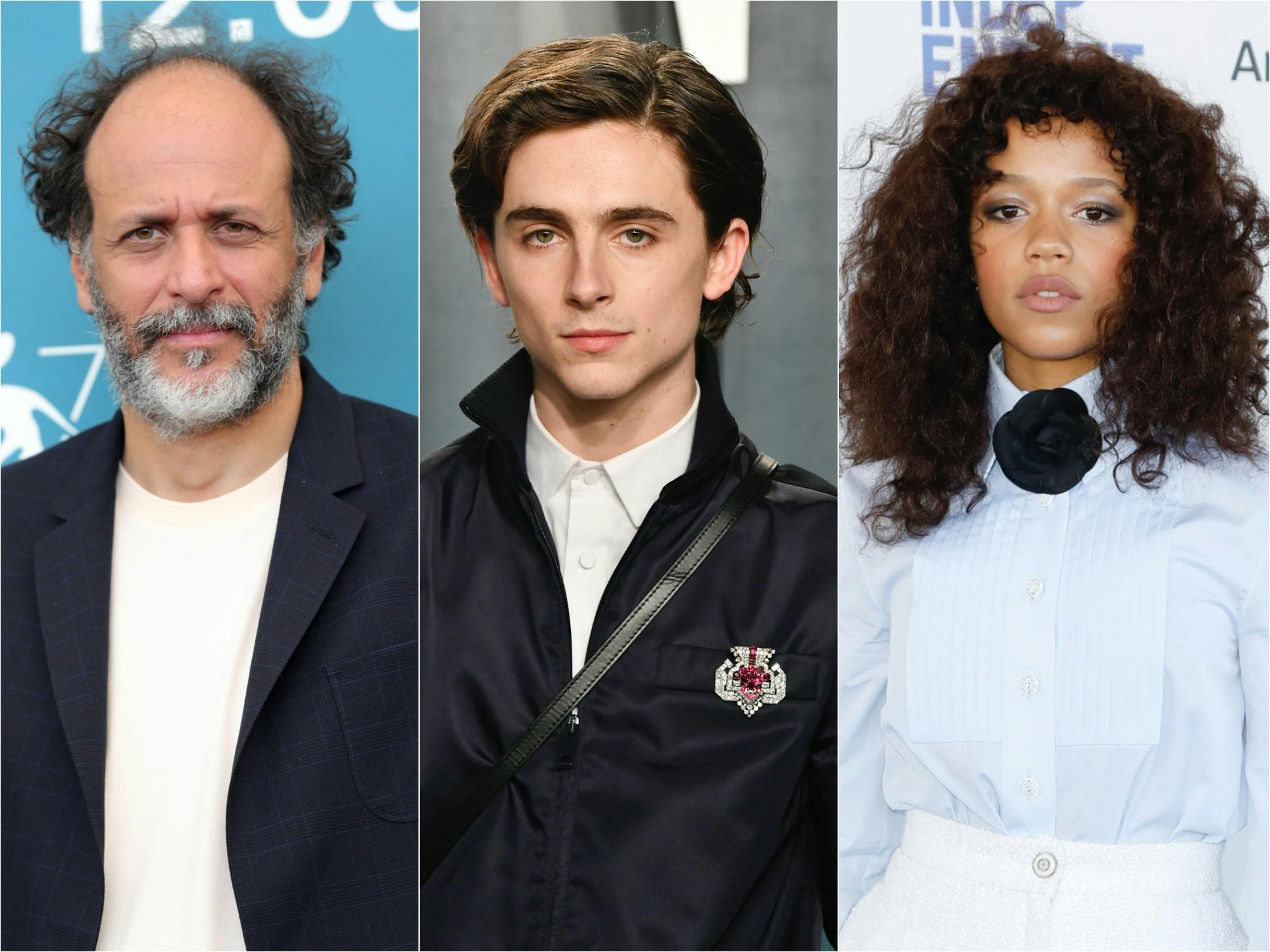 Luca Guadagnino, Timothée Chalamet, Taylor Russell