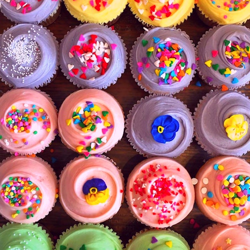 Cupcake Icing And Decorating Kit