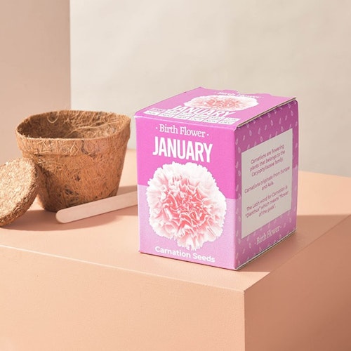 Grow-Your-Own Birth Flower
