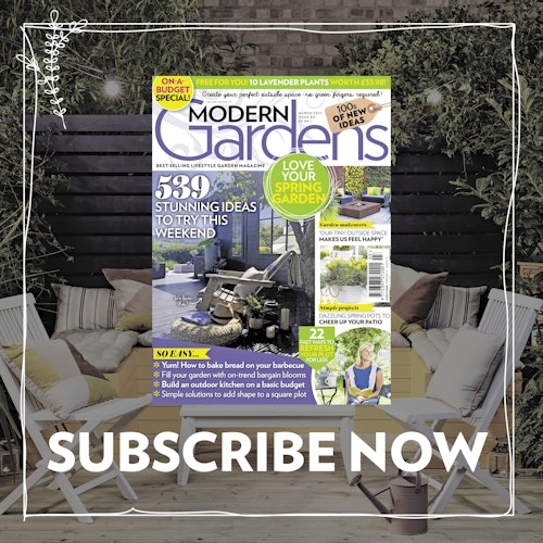 Subscribe to MG