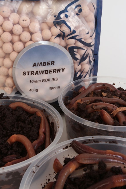 best baits best baits