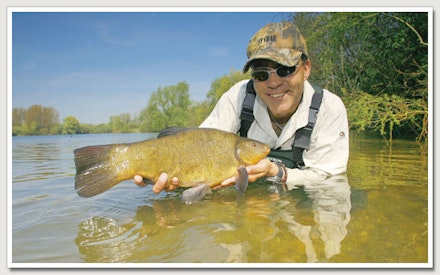 MATT HAYES: HOW TO CATCH BIG TENCH MATT HAYES: HOW TO CATCH BIG TENCH