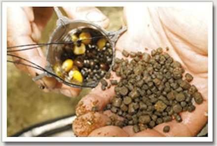2. Fill a quarter of the spod with pellets and a few small boilies 2. Fill a quarter of the spod with pellets and a few small boilies