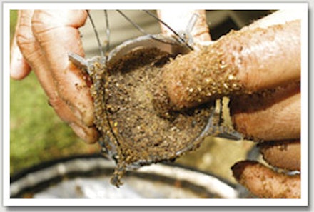 4. Gently tap down the feed - it will explode on contact with the water 4. Gently tap down the feed - it will explode on contact with the water