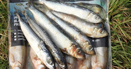 Deadbaits.jpg Deadbaits.jpg