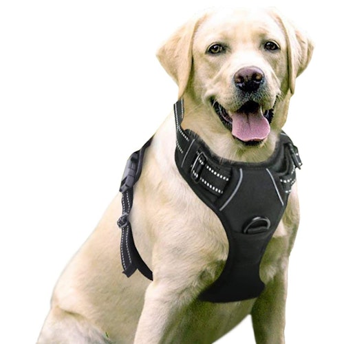 rabbitgoo No Pull Dog Harness