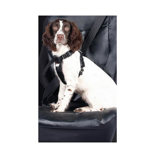 Halfords Dog Car Harness
