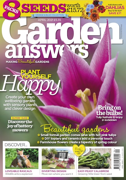 April 2021 cover April 2021 cover