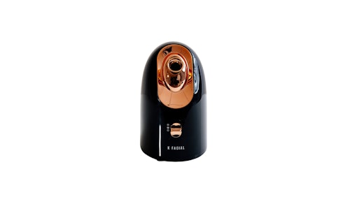 best facial steamer