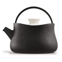 Tetsubin Teapot