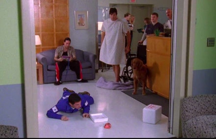 Dog eating dans heart Dog eating dans heart