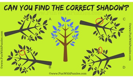 Brain teaser correct shadow 2 Brain teaser correct shadow 2