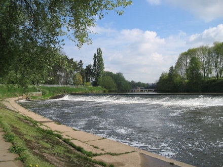 Weir building can stop fish completing their upstream migrations to spawn Weir building can stop fish completing their upstream migrations to spawn