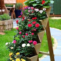 6 Tier Wooden Wall Planter