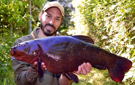 A remarkable 12lb-plus tench got Daniel Woolcott into fourth A remarkable 12lb-plus tench got Daniel Woolcott into fourth