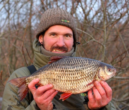 Simon's 3lb 8oz Hampshire Avon roach was certainly the fish that won him the Drennan Cup title Simon's 3lb 8oz Hampshire Avon roach was certainly the fish that won him the Drennan Cup title