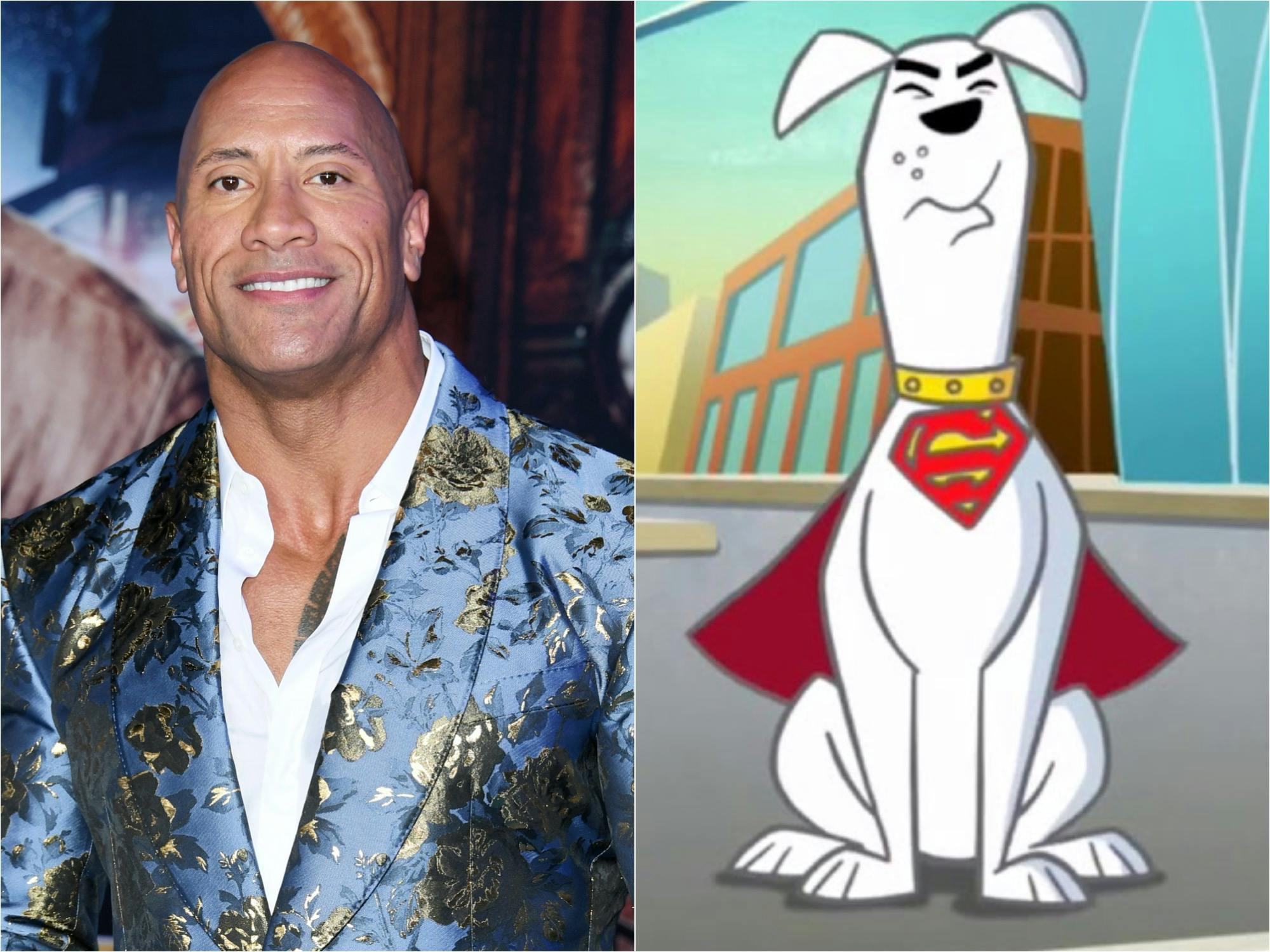 Dwayne Johnson, Krypto
