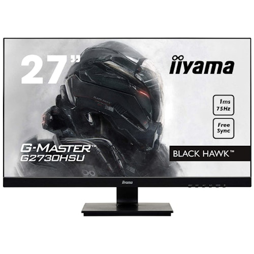 Iiyama GB2530HSU-B1 Gaming Monitor