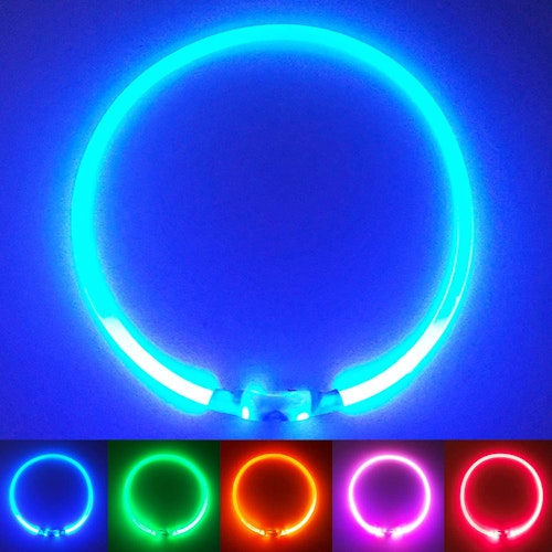 PetSol Ultra Bright USB Rechargeable LED Dog Safety Collar