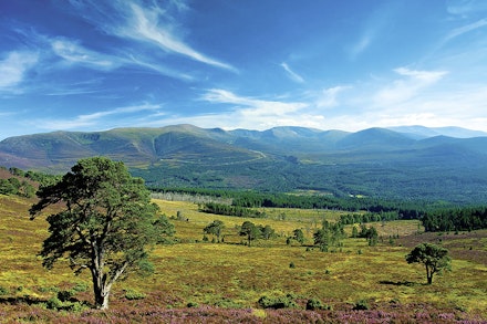 Route 4: The Kincardineshire Three, Cairngorms Route 4: The Kincardineshire Three, Cairngorms