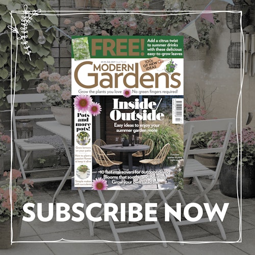 MG Jul subscribe