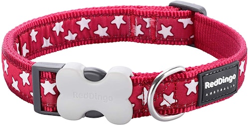 red dingo dog collar