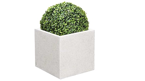 White planter with box ball