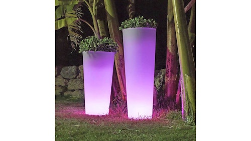 Purple light up planters in garden at night