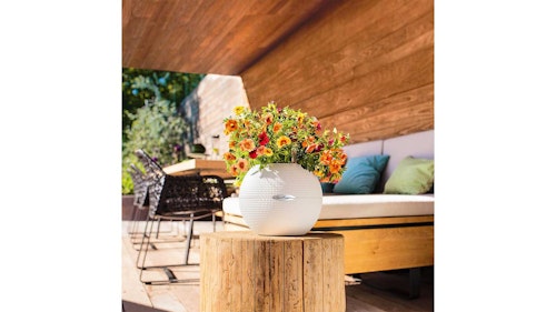 Round white planter on wooden stump in sunny garden