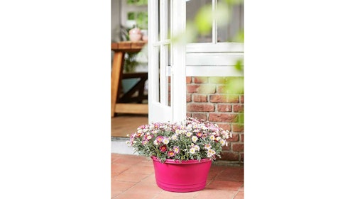 Red doorstop planter outside patio door