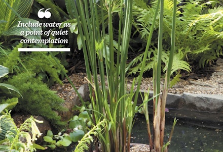 Include water as a point of quiet contemplation Include water as a point of quiet contemplation