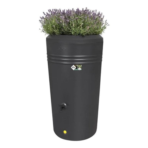 Crocus Green basics rainbarrel