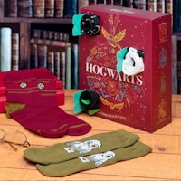 Harry Potter Sock 2021 Advent Calendar