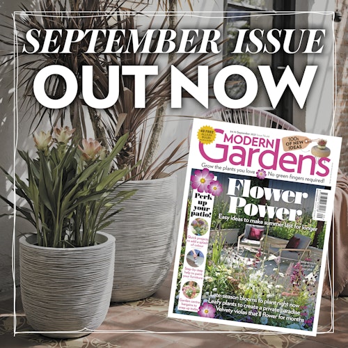 Sept issue