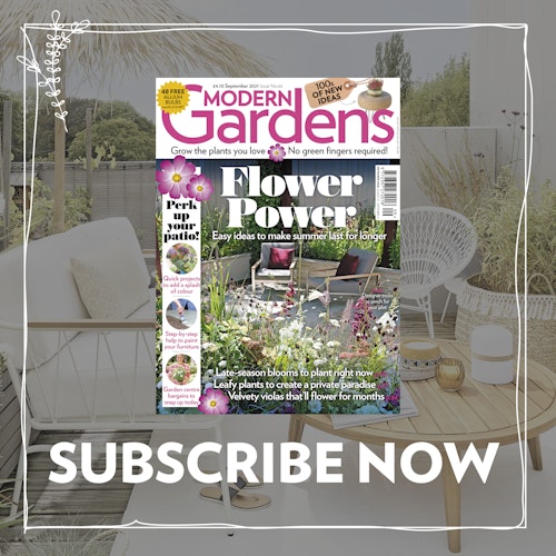 Sept issue