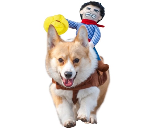 Cowboy Rider Costume