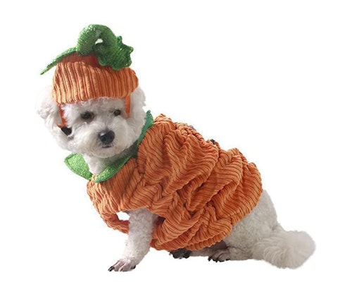 costume