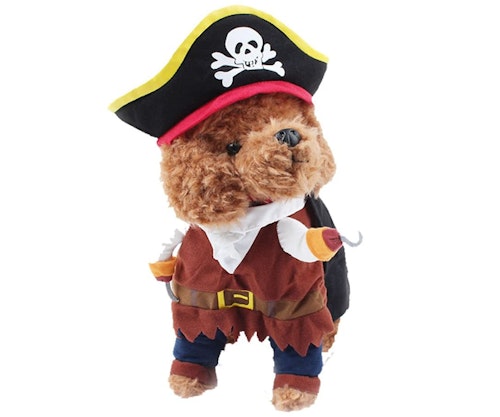 costume
