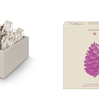 beauty advent calendar