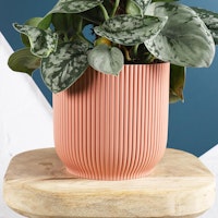 elho vibes pot 14cm